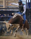 Rodeo Cowboy riding a bull Royalty Free Stock Photo